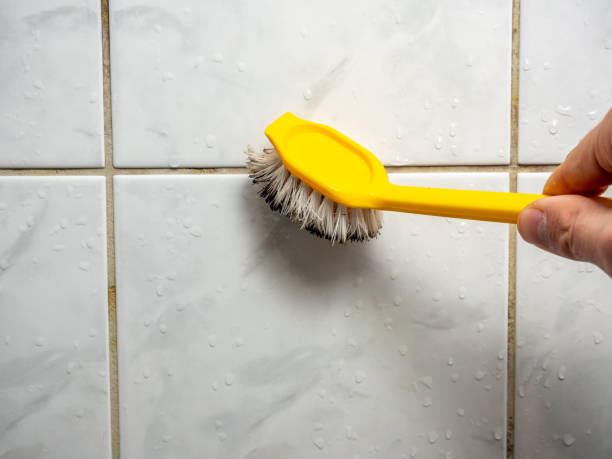Best Emergency Mold Removal  in Deland Southwest, FL