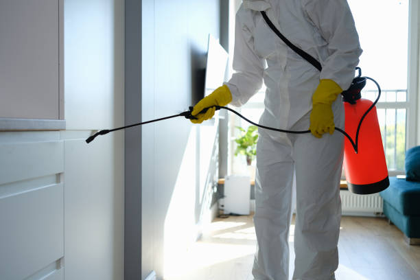 Mold Testing and Removal in Deland Southwest, FL