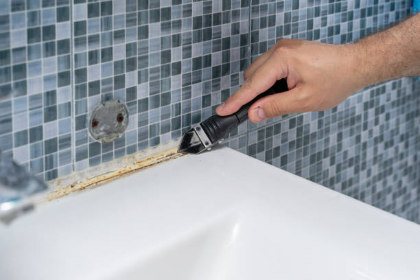 Best Black Mold Removal  in Deland Southwest, FL