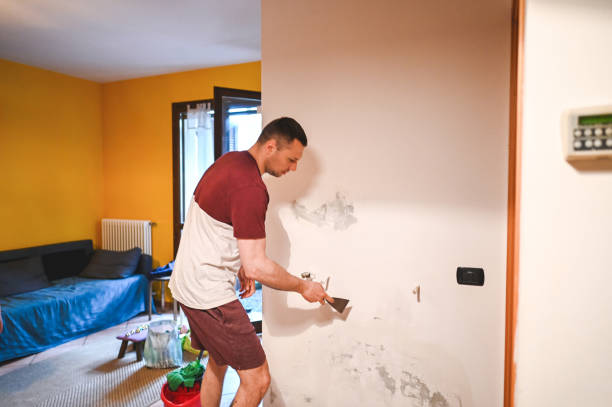 Best Mold Testing and Removal  in Deland Southwest, FL